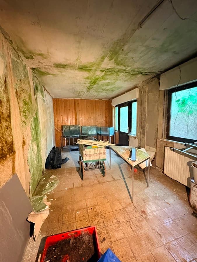Raum mit Schimmel- und Feuchtigkeitsschäden an Wand und Decke vor der Sanierung